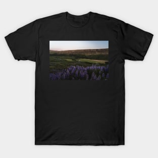 Lupine Flowers in Blossom During Midnight Sunset in Iceland T-Shirt